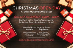 The top 3 reasons we are excited about our Christmas Open Day!